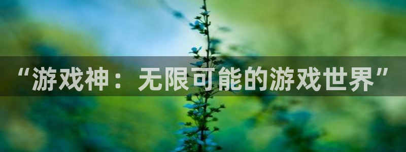 杏悦2推荐通道：“游戏神：无限可能的游戏世界”
