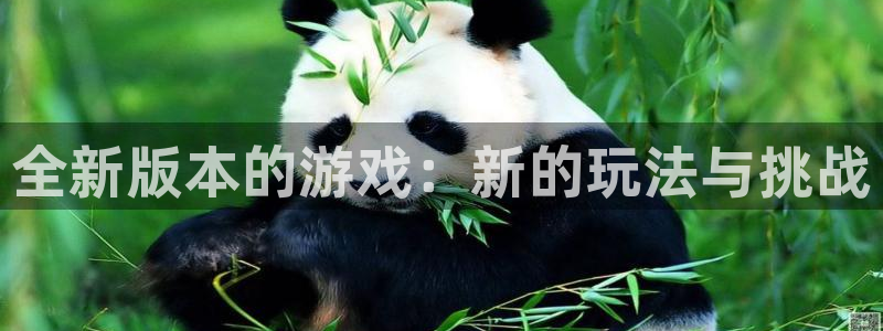 杏悦2登录状态：全新版本的游戏：新的玩法与挑战