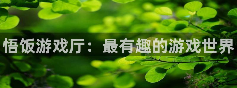 杏悦2股东探索无限蒲空间