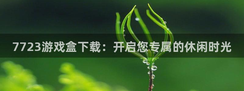 杏悦2测速登录官网：7723游戏盒下载：开启您专属的休闲时光