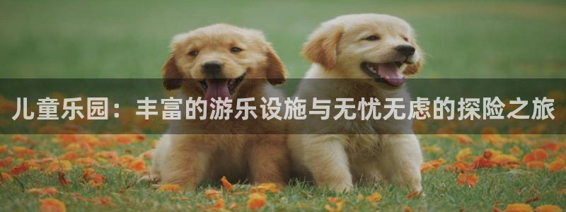 杏悦2会员登录入口：儿童乐园：丰富的游乐设施与无忧无虑的探险
