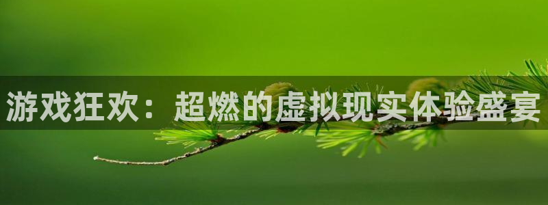 杏悦2测速：游戏狂欢：超燃的虚拟现实体验盛宴