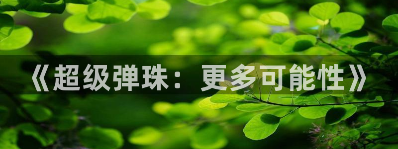 杏悦2平台：《超级弹珠：更多可能性》