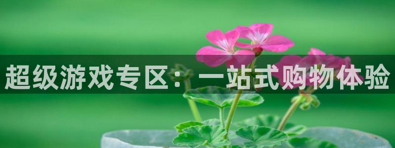 杏悦2官网平台：超级游戏专区：一站式购物体验