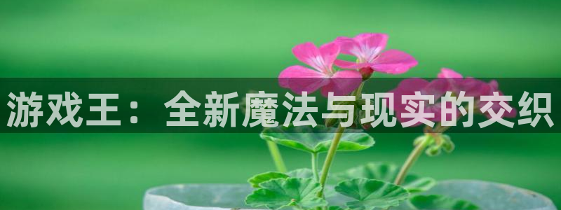杏悦2会员登录入口：游戏王：全新魔法与现实的交织